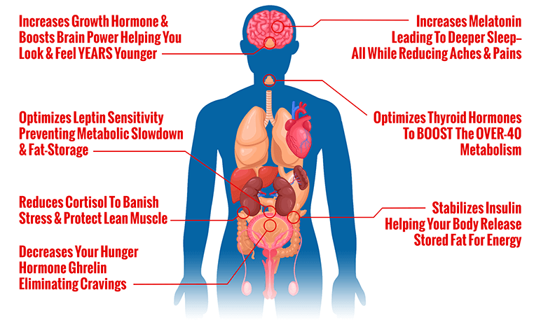 The Over 40 Hormone Reset Diet