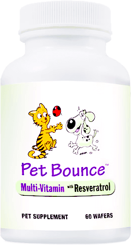 Pet Bounce Review