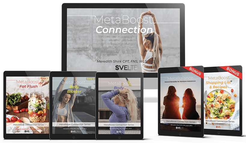 MetaBoost Connection PDF Download