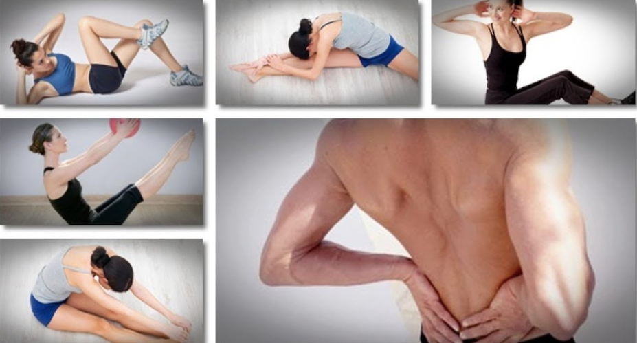 The Back Pain Breakthrough Workout System