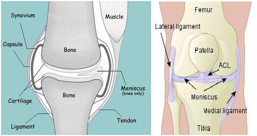 ASResearch Joint Regen Review