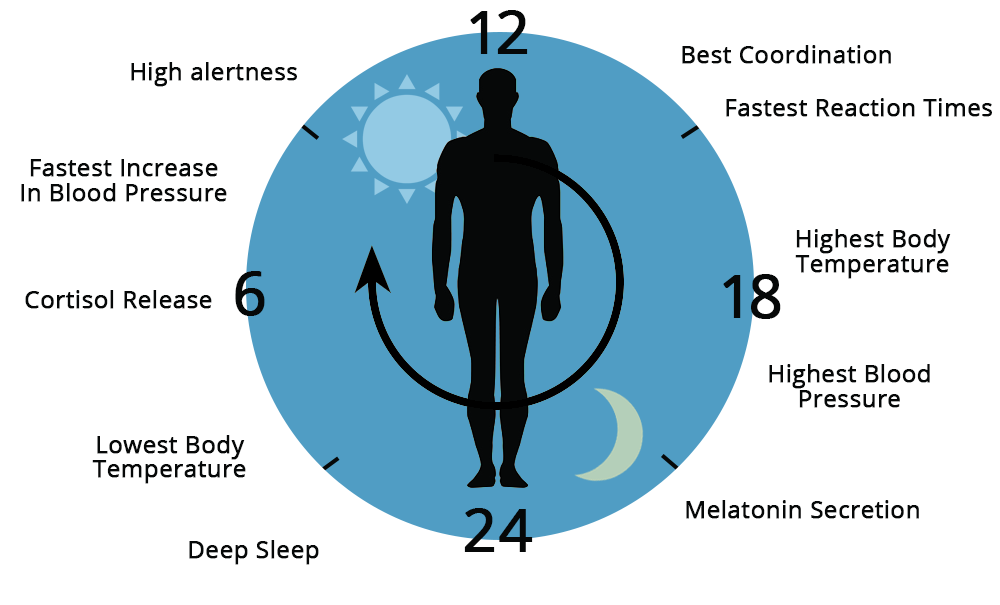 Bioleptin apple extract