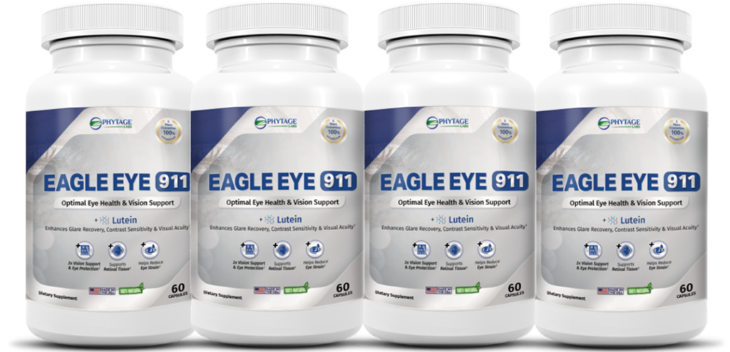 eagle eye 911 supplement