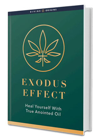 Exodus Effect Book Reviews