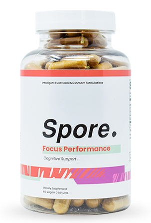 Spore Focus Performance Review