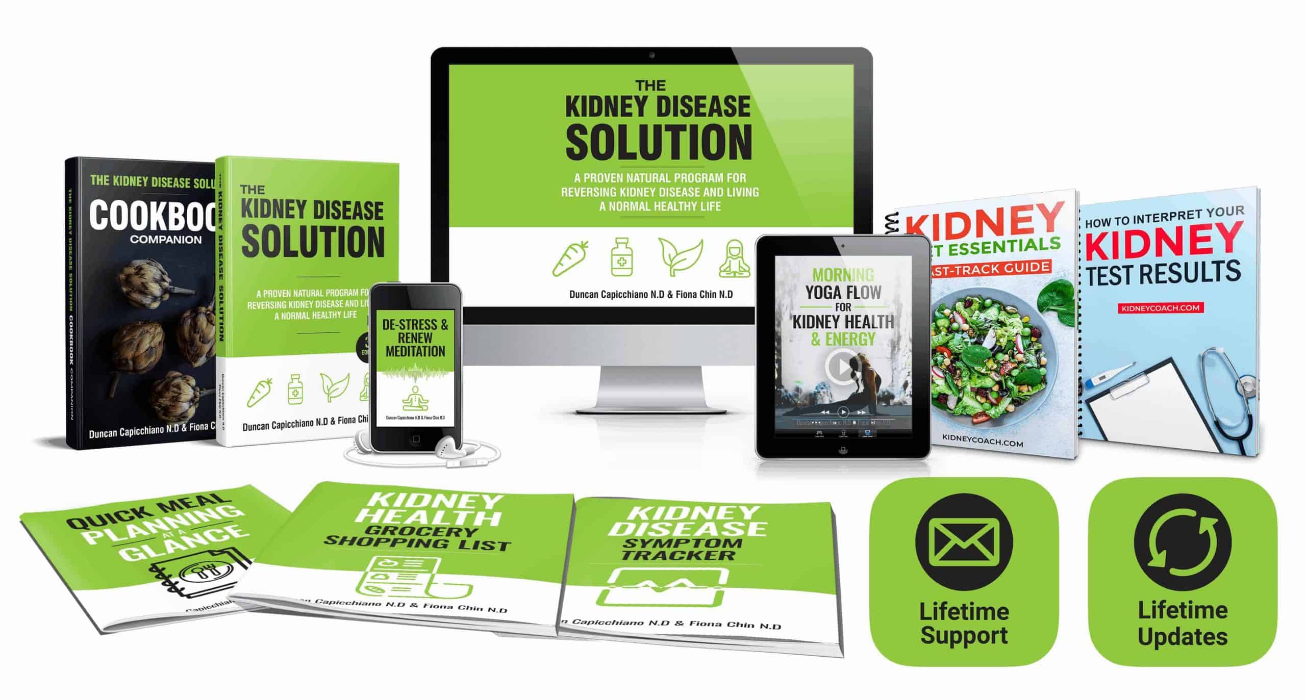 kidney disease solution program pdf download