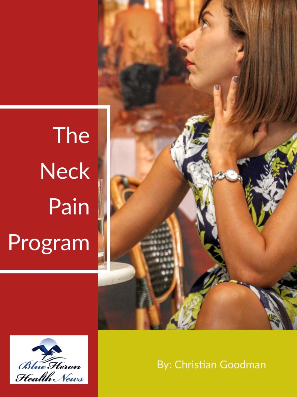 Neck Pain No More Book